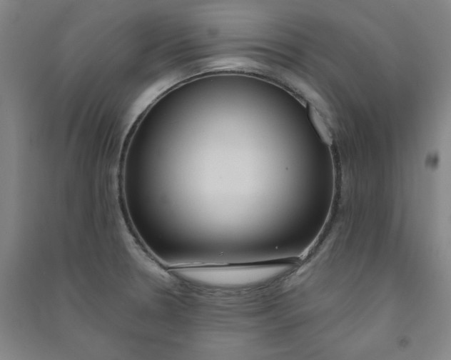 X0000090911330200708201732