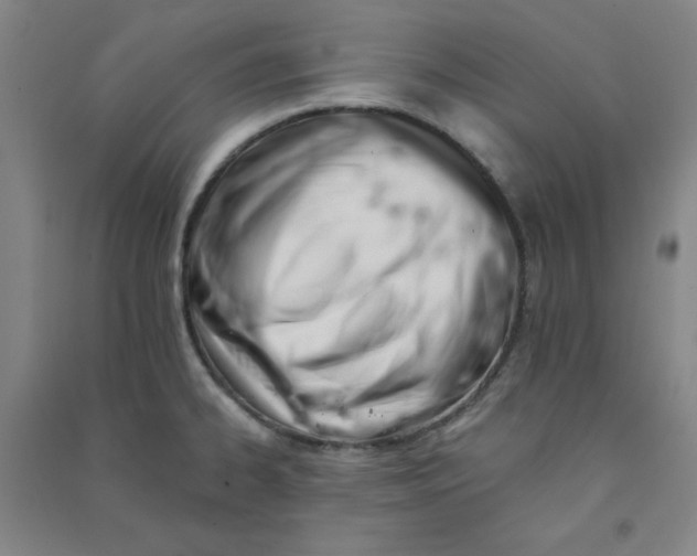 X0000090911334200708201732