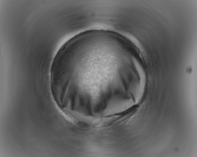 X0000090911335200708201732