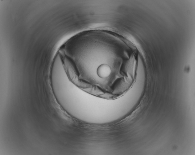 X0000090911336200708201732