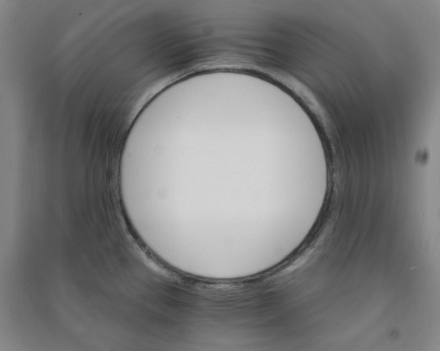 X0000090911337200708201732