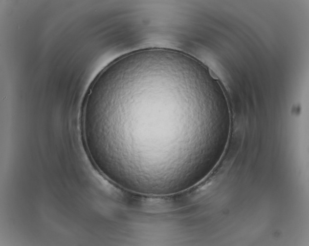 X0000090911339200708201732