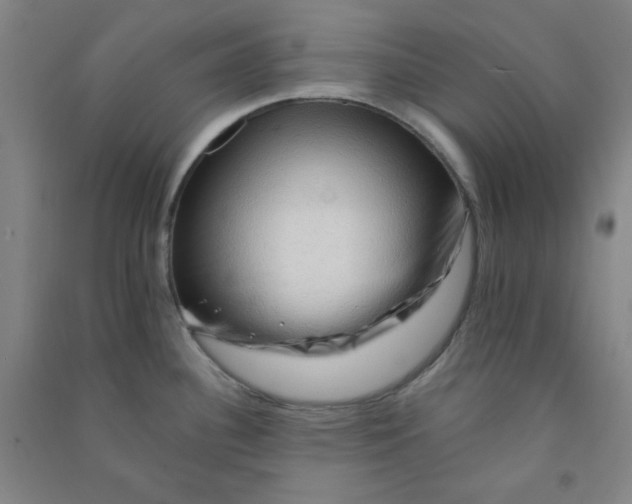 X0000090911340200708201732