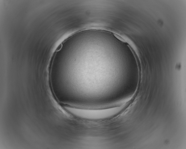 X0000090911341200708201732