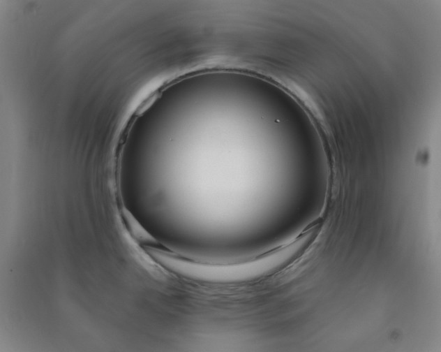 X0000090911342200708201732