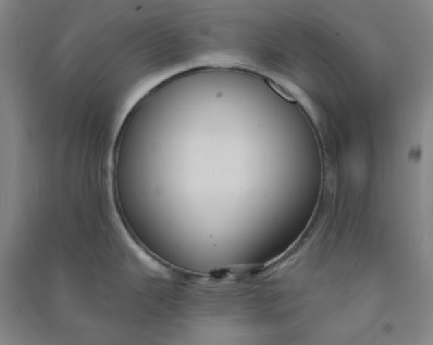 X0000090911343200708201732