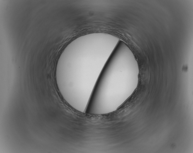 X0000090911345200708201732