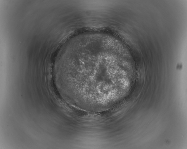 X0000090911346200708201732