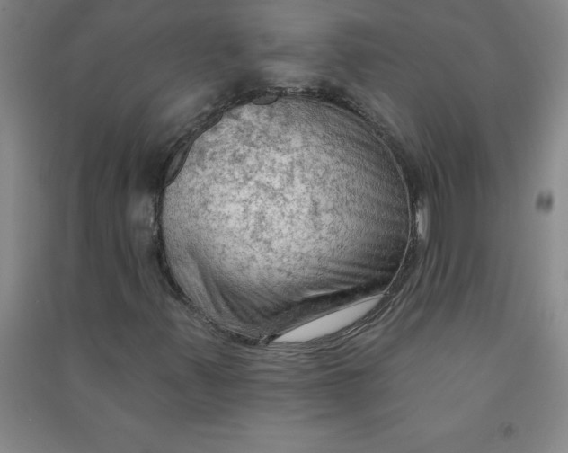 X0000090911347200708201732