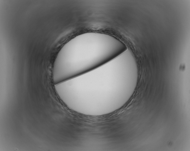 X0000090911349200708201732