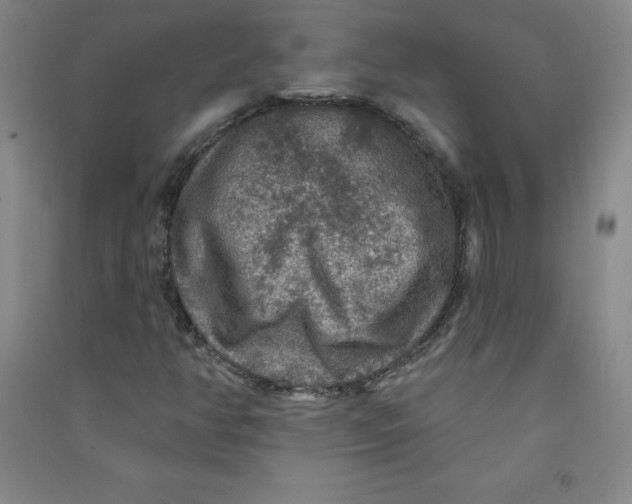 X0000090911350200708201732