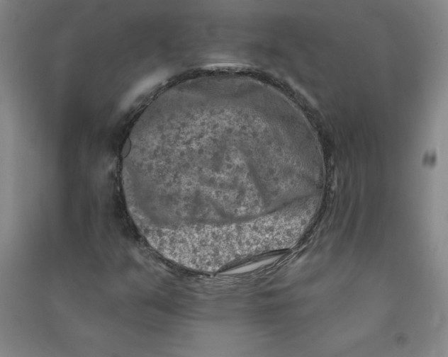 X0000090911351200708201732