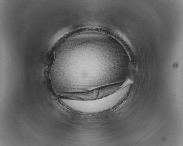 X0000090911352200708201732