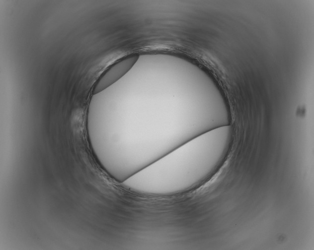 X0000090911353200708201732