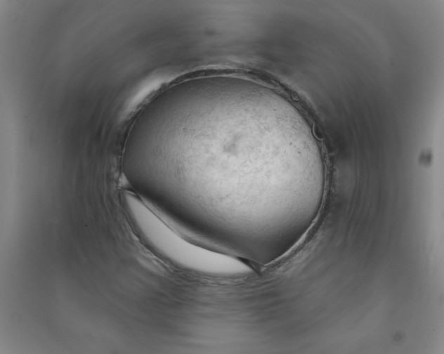 X0000090911355200708201732