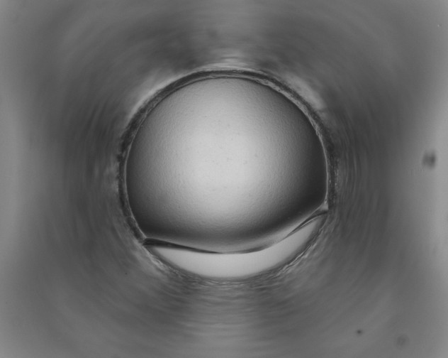 X0000090911356200708201732