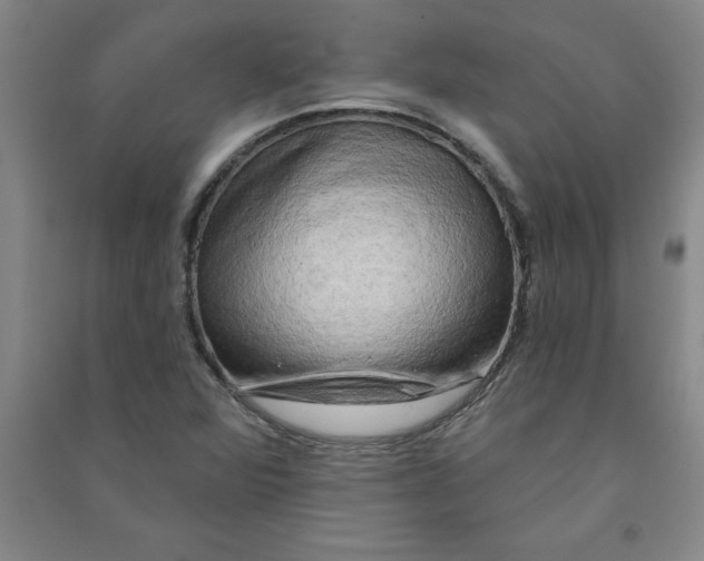 X0000090911360200708201731