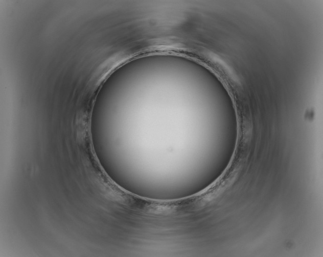 X0000090911361200708201731