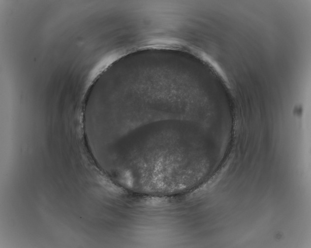 X0000090911362200708201731