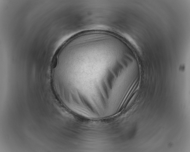 X0000090911364200708201731