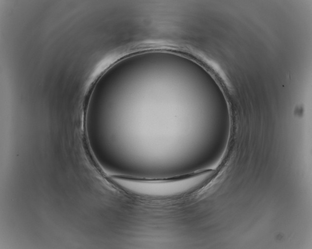 X0000090911365200708201731