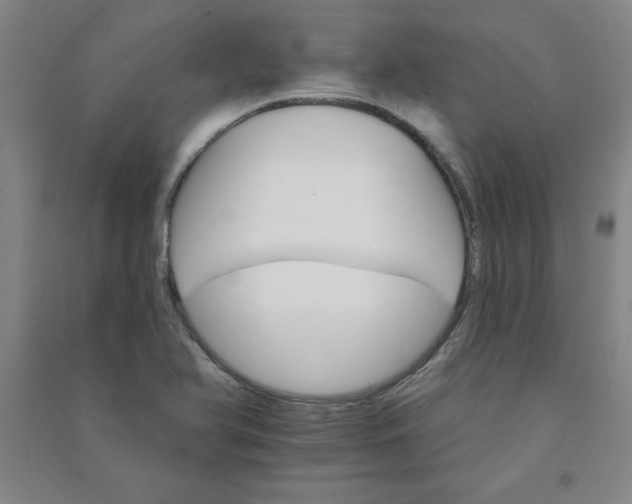 X0000090911366200708201731