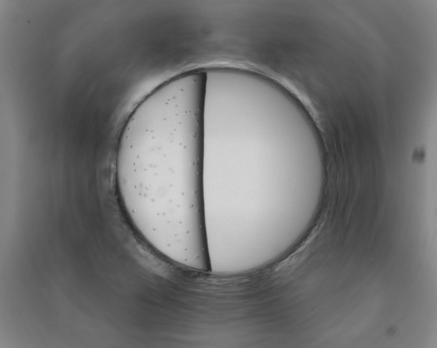 X0000090911367200708201731