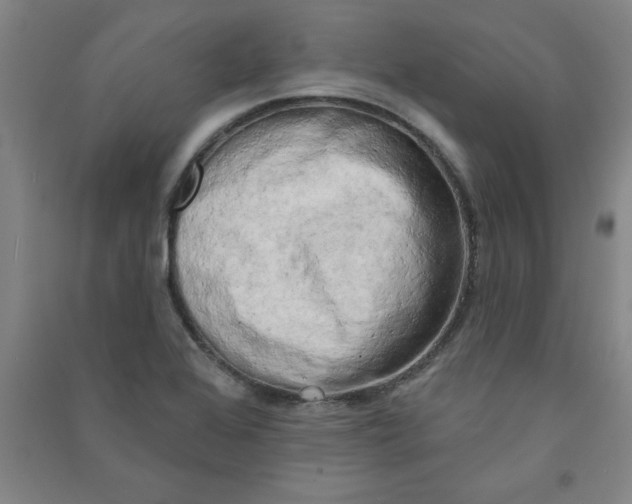 X0000090911368200708201731