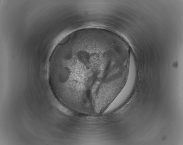 X0000090911371200708201731