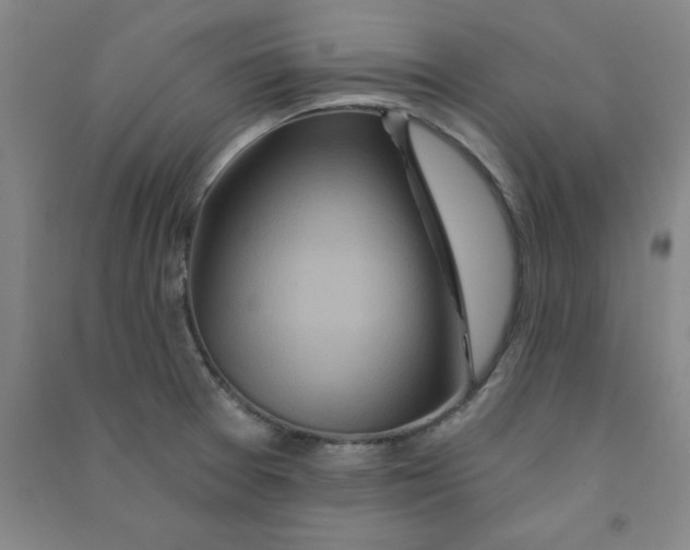 X0000090911377200708201731