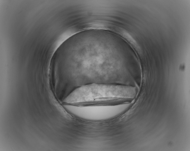 X0000090911378200708201731