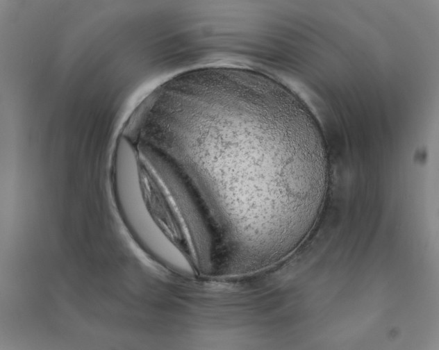 X0000090911379200708201731