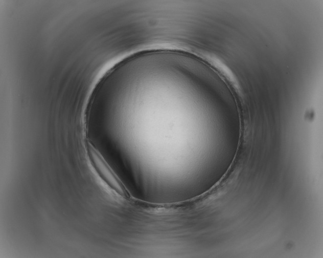 X0000090911380200708201731