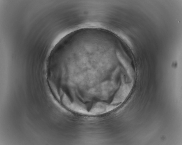 X0000090911382200708201731