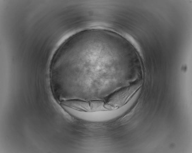 X0000090911384200708201731