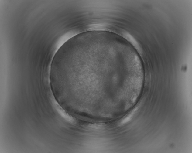 X0000090911386200708201731