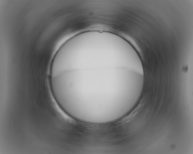 X0000090911387200708201731