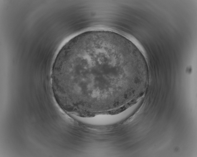 X0000090911388200708201731