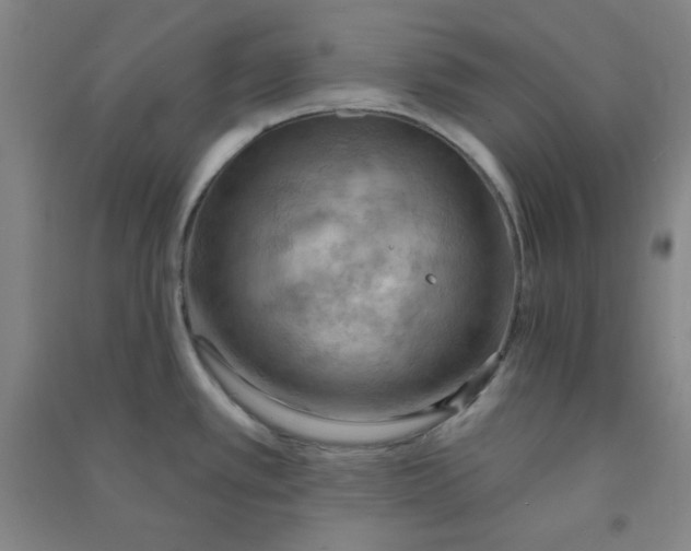 X0000090911389200708201731