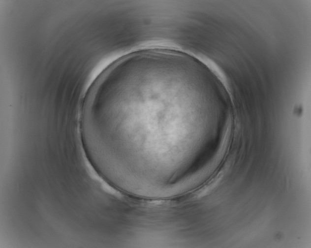 X0000090911390200708201731