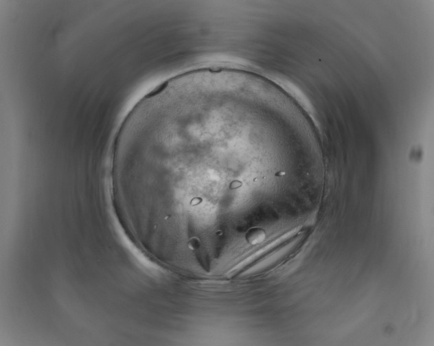 X0000090911391200708201731