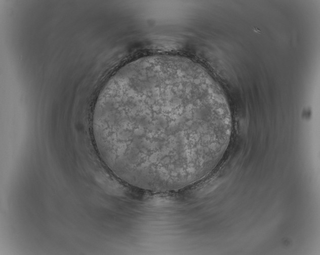 X0000090911393200708201730