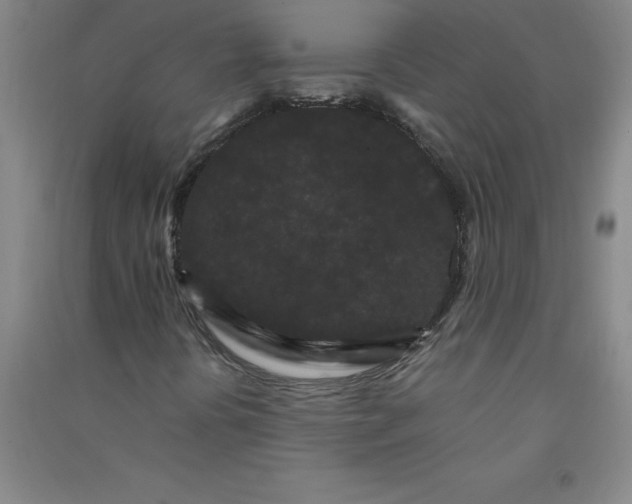 X0000090911394200708201730