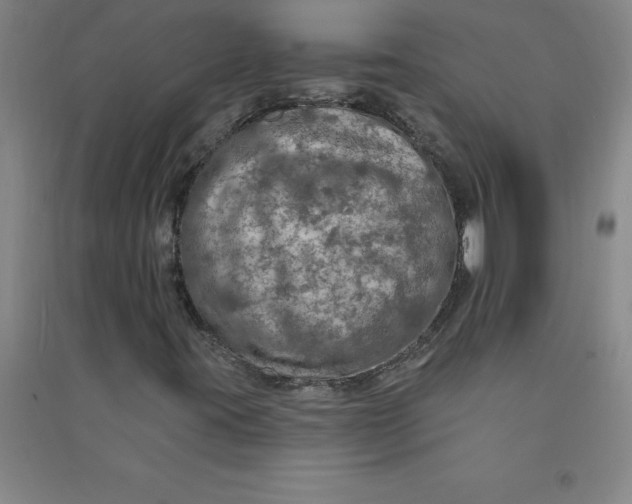 X0000090911395200708201730