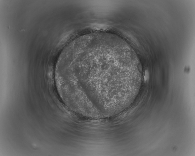 X0000090911396200708201730