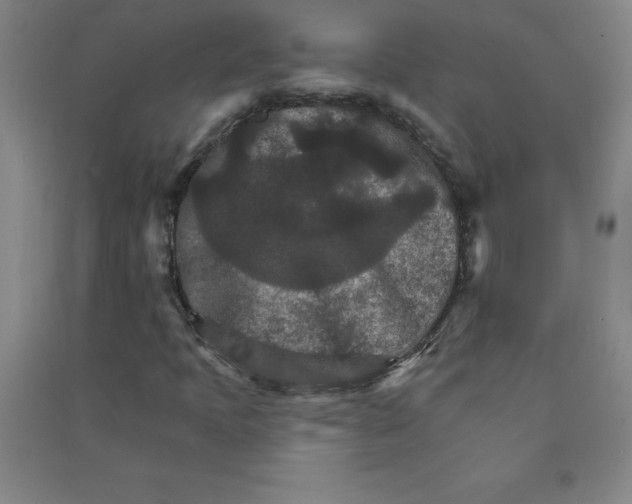 X0000090911397200708201730