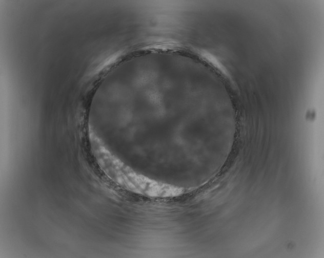 X0000090911399200708201730