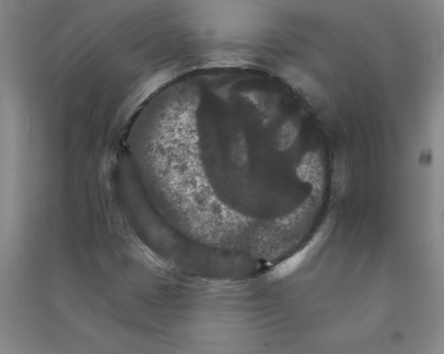 X0000090911401200708201730