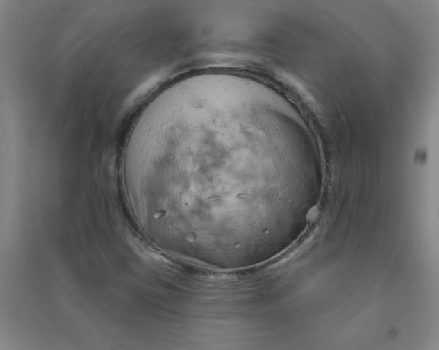 X0000090911403200708201730