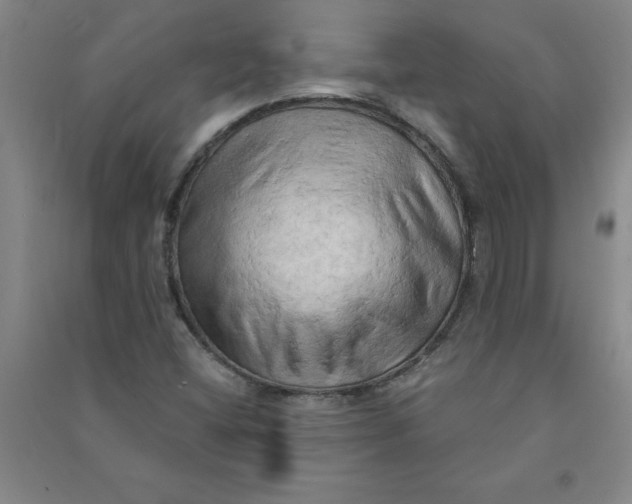 X0000090911404200708201730